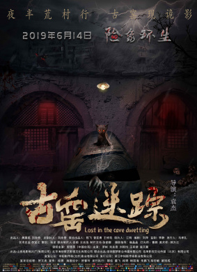 古窑迷踪LOST IN THE CAVE DWELLING 电影封面