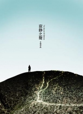 寂静之声The Sound Of Silence 电影封面