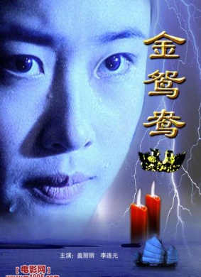 金鸳鸯Jin yuan yang 电影封面