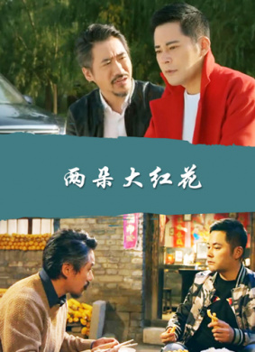 两朵大红花 电影封面