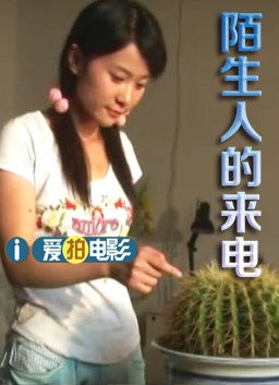 陌生人的来电 电影封面