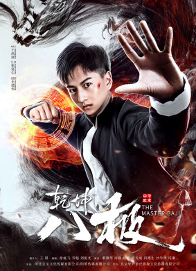 乾坤八极THE MASTER OF BAJI 电影封面