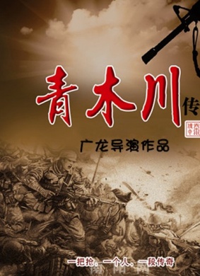 青木川传奇 电影封面