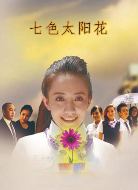 七色太阳花 电影封面