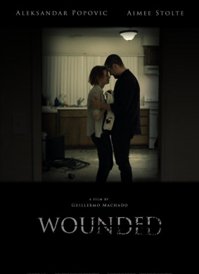 受伤Wounded 电影封面