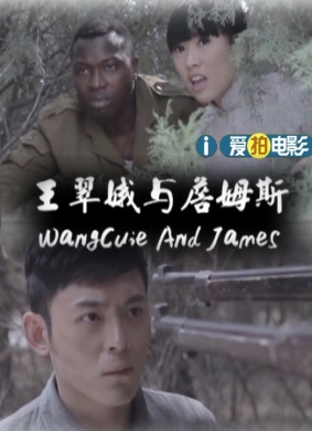 王翠娥与詹姆斯 电影封面
