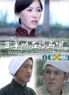 王翠娥在骆马湖 电影封面