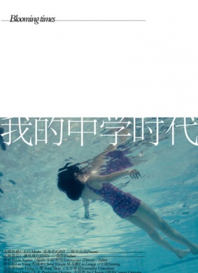 我的中学时代 电影封面