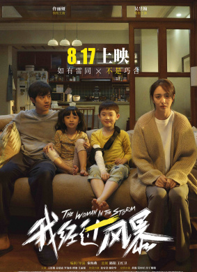 我经过风暴 电影封面