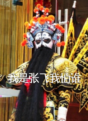 我是张飞我怕谁 电影封面