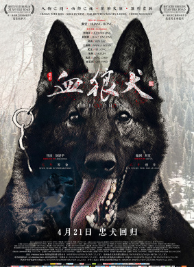 血狼犬The Blood Hound 电影封面