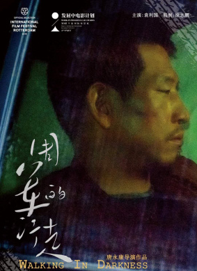 周军的行走A Walker in Darkness 电影封面