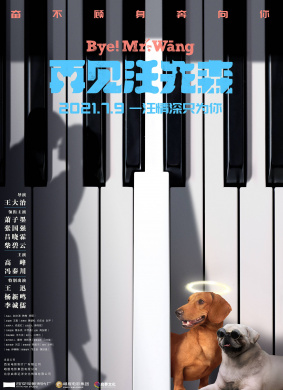 再见汪先森 电影封面