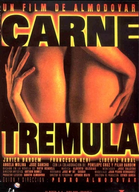 活色生香Carne trémula 电影封面