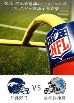 2015-2016赛季NFL明尼苏达维京人VS绿湾包装工 电影封面