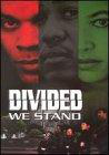 Divided We Fall: Americans in the Aftermath 电影封面