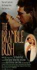 The Bramble Bush 电影封面