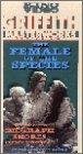 The Female of the Species 电影封面