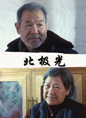 北极光 电影封面