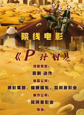 P计划 电影封面
