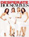 绝望主妇Desperate Housewives 电影封面