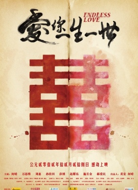 爱你一生一世Endless Love 电影封面