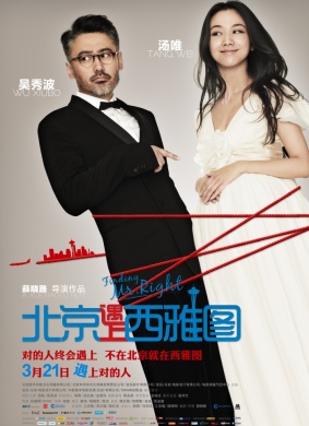 北京遇上西雅图Finding Mr.Right 电影封面