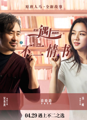 北京遇上西雅图之不二情书Finding Mr. Right 2 电影封面