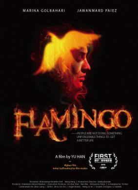 火烈鸟Flamingo 电影封面