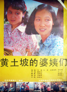 黄土坡的婆姨们The women of huangtupo village 电影封面