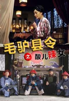 毛驴县令之酸儿辣女Donkey magistrate - The kids are not alright 电影封面