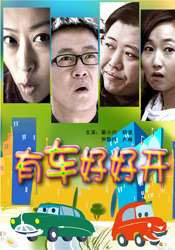 有车好好开Driving for the Good 电影封面