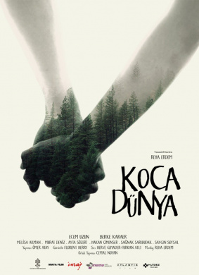 大千世界Koca Dünya 电影封面