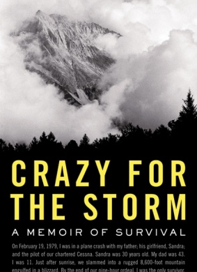 风狂雨暴人更强Crazy for the Storm 电影封面