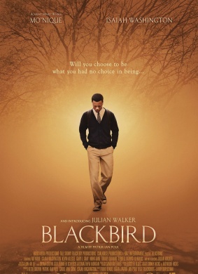 黑鸟Blackbird 电影封面