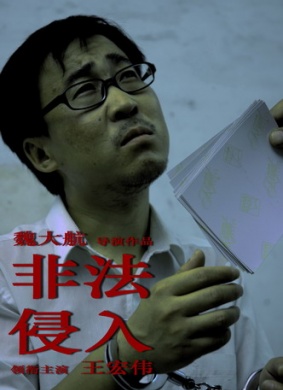非法侵入 电影封面