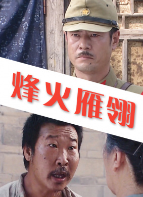 烽火雁翎 电影封面