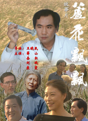 芦花飘飘 电影封面