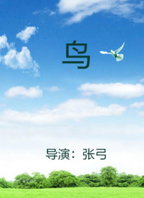 鸟the Bird 电影封面