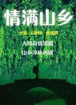 情满山乡 电影封面
