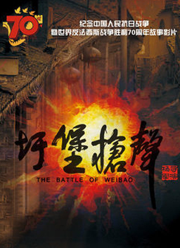 圩堡枪声 电影封面