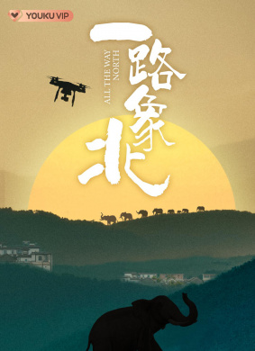 一路象北 电影封面