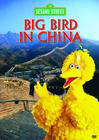 Big Bird in China 电影封面