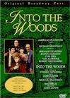 Into the Woods 电影封面