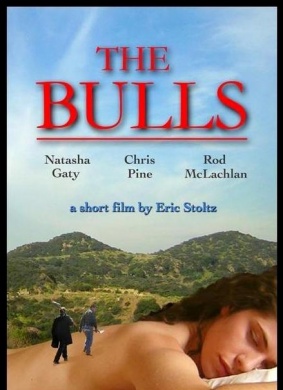 The Bulls 电影封面